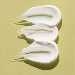 Kakadu Plum Sunscreen 50+